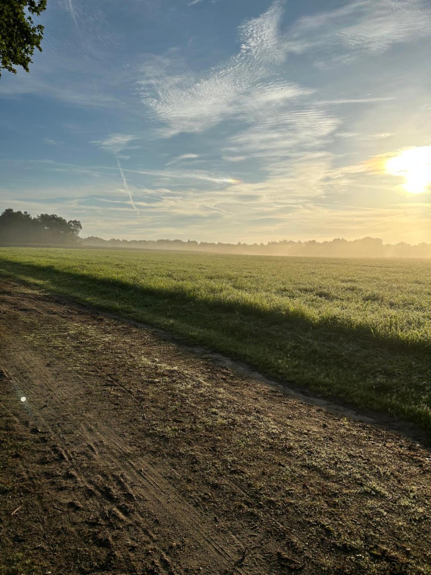 De Postelhoek B&B Oud-Ootmarsum Экстерьер фото