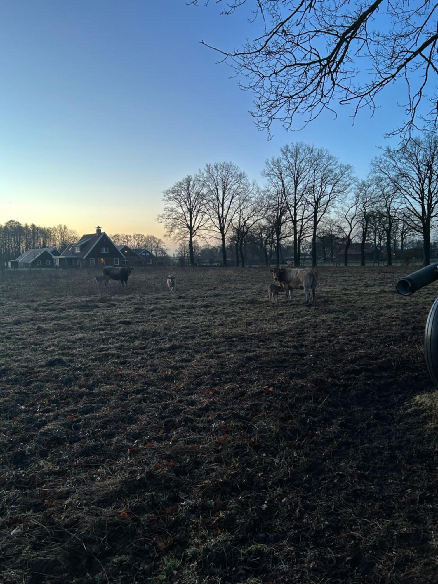 De Postelhoek B&B Oud-Ootmarsum Экстерьер фото