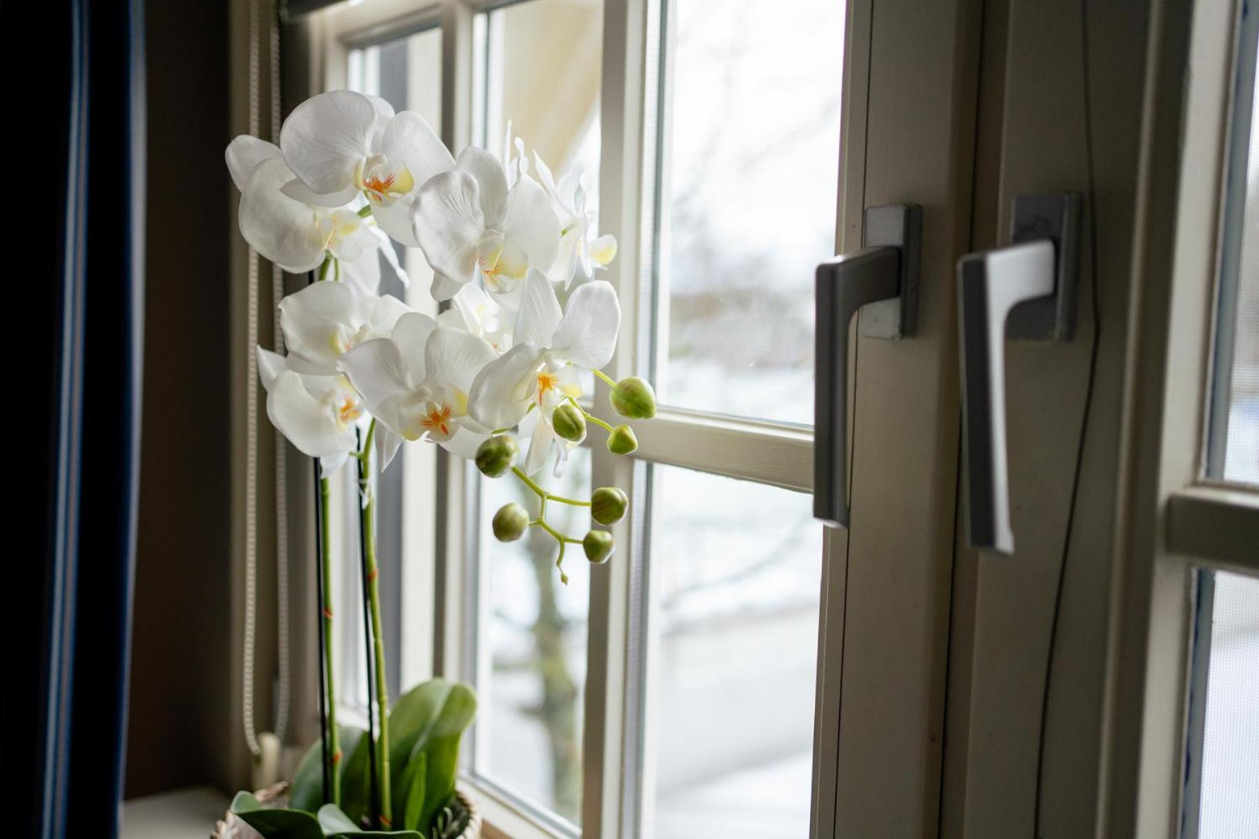 De Postelhoek B&B Oud-Ootmarsum Экстерьер фото