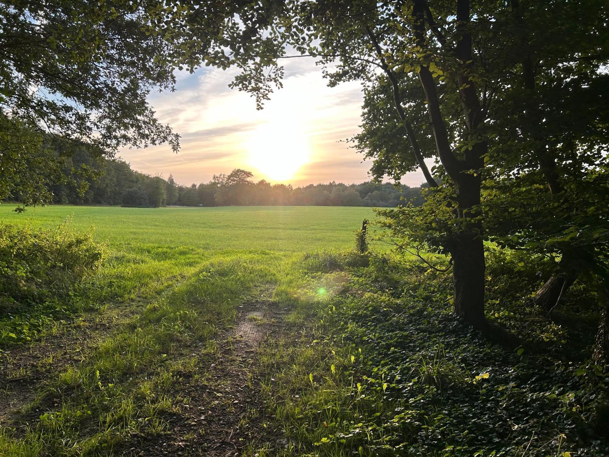 De Postelhoek B&B Oud-Ootmarsum Экстерьер фото